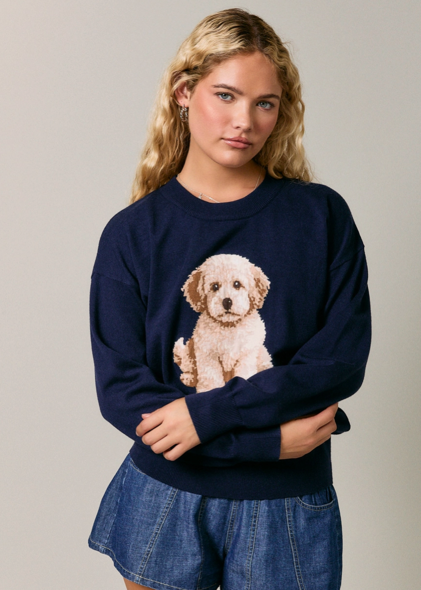 Goldendoodle Sweater