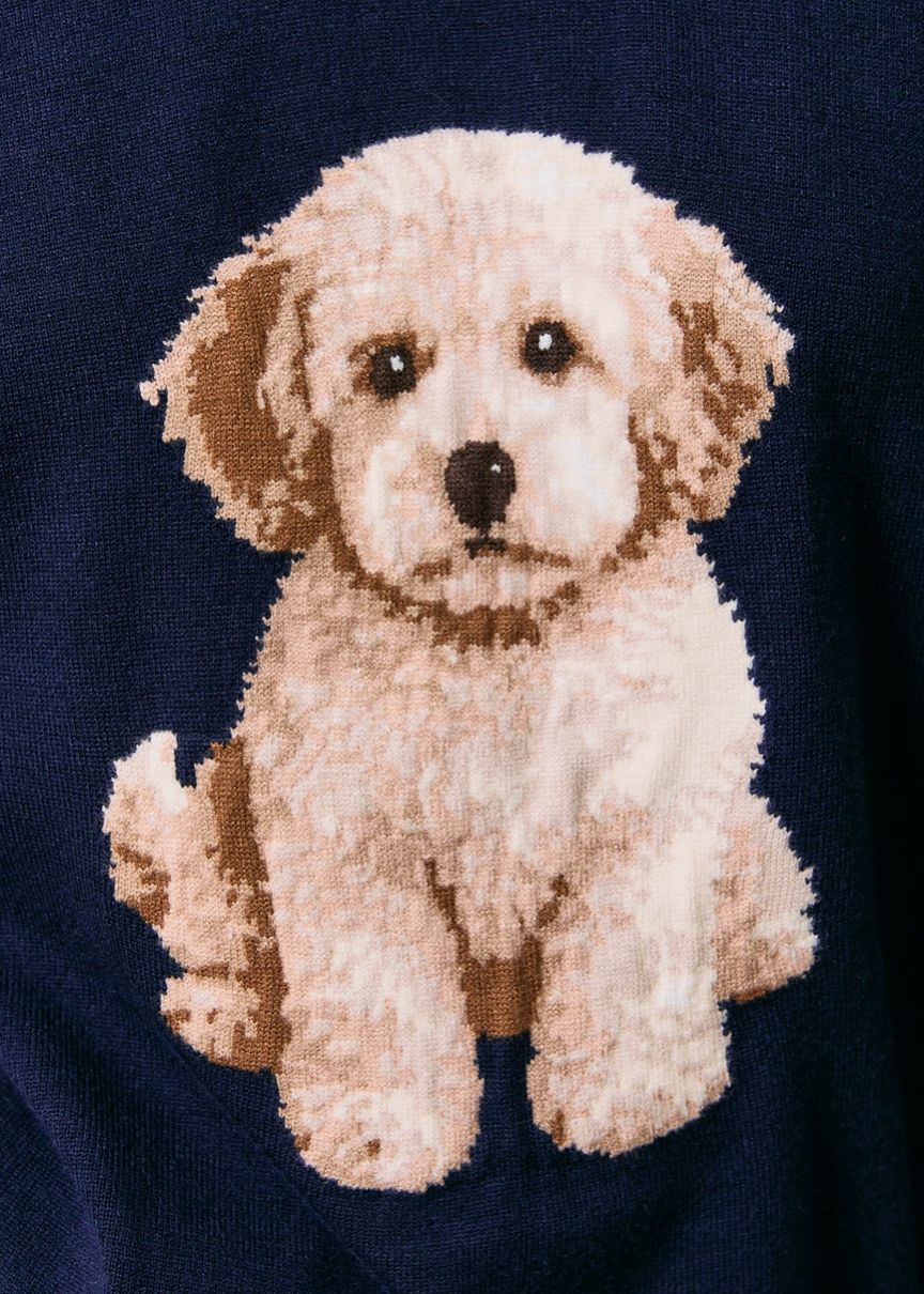 Goldendoodle Sweater